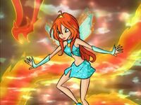 WinX-1x25-064