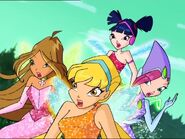 WinX-Special-002-515