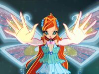 WinX-3x26-191