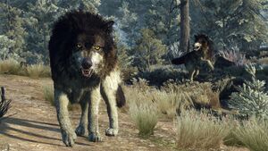 The Witcher 3 Wild Hunt wolfs 3 on