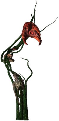 Ec1.png
