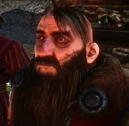 Yarpen em The Witcher 2