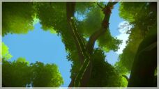 Jungle Environmental 1P1.jpg