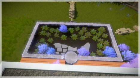 Entry Environmental3.jpg