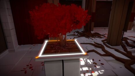 Bonsai1.jpg