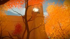 Perspective tree.jpg