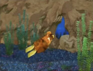 Linny going through the hole.