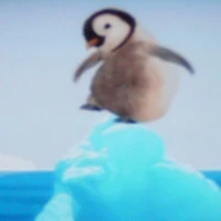 Save The Penguin Wonder Pets Wiki Fandom