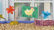 Error: There are woodchips on the top of Izzy's cage.
