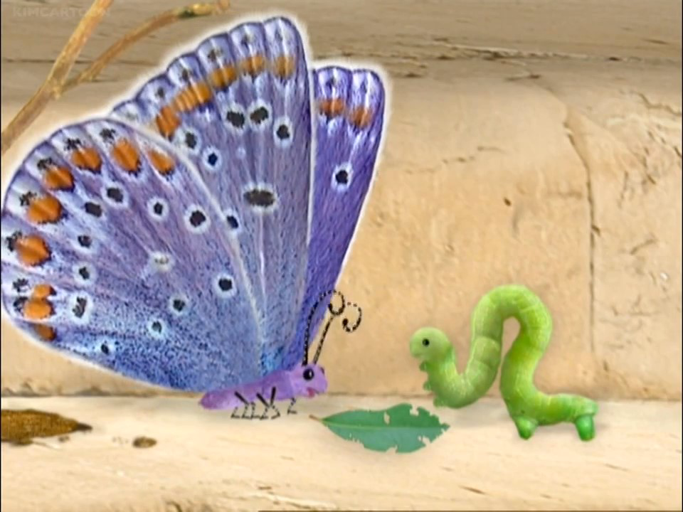 wonder pets save the chameleon save the platypus wonder pets save the chameleon save the platypus
