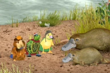 Wonder Pets Save The Chameleon