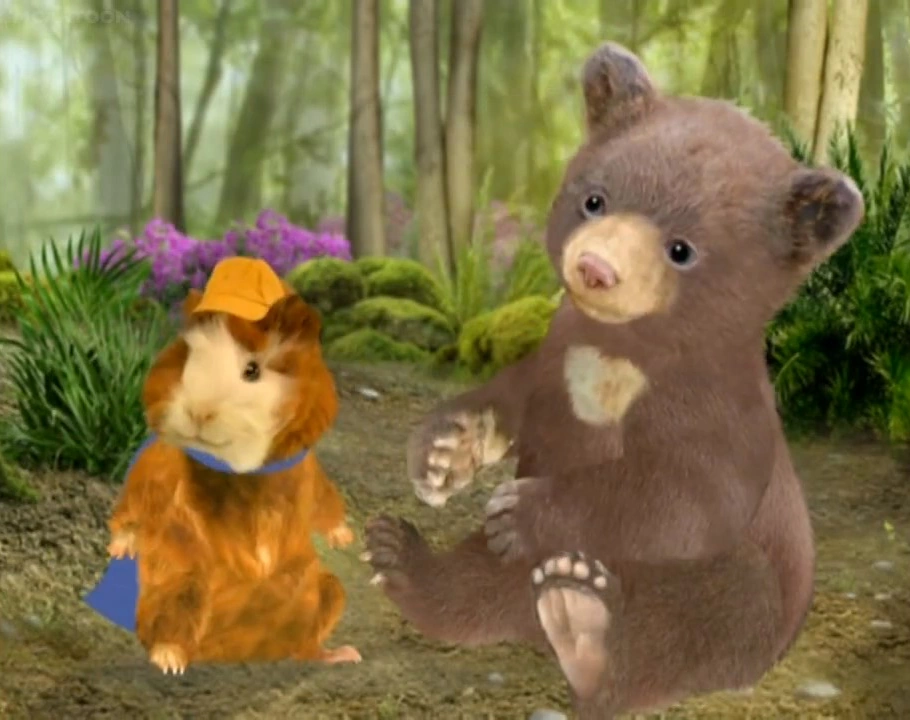 Save the Sun Bear! Wonder Pets! Wiki Fandom