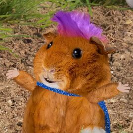 Cape & Purple Hair