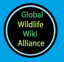 Global Wildlife Wiki Alliance