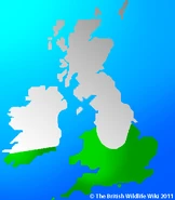 Gatekeeper | British Wildlife Wiki | Fandom
