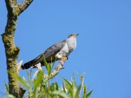 P1160022.jpg (4.54 MB) P1160022