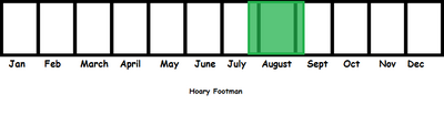 Hoary Footman TL