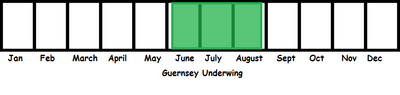 Guernsey Underwing TL