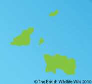 Distribution of Kestrels on the Channel Islands