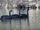 Birds.2010 183.jpg