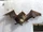 Natterer's Bat