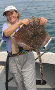 Thornback Ray off Lymington