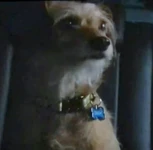 Dash.jpg (61 KB) Dash in Billy's car.