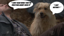 Bugatti guards Nick.jpg (56 KB) Bugatti guards Nick.