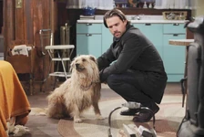 Bugatti meets Nick Newman.jpg (85 KB) Bugatti meets Nick.