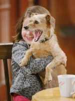 Delia & Dash.jpg (58 KB) Delia and Dash.