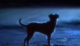 DashOnHighway.jpg (74 KB)