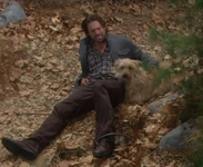 Bugatti comforts Nick.jpg (85 KB) Bugatti comforts injured Nick.