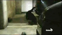 Noah runs over Billy