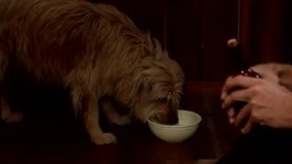 Nick&BugattiDrink.jpg (64 KB)