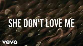 ZAYN_-_SHE_DON'T_LOVE_ME_(Lyric_Video)