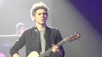 niall horan guitar take me home tour