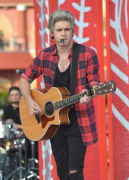 Niall The Today Show 2014