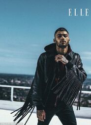 Gallery | ZAYN Wikia | Fandom