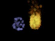 A Fire Elemental (right) next to an Air Elemental