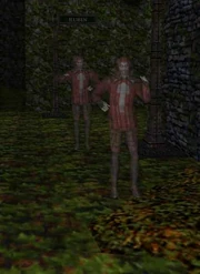 Apparitions in the .