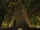 The Lost City (mission)