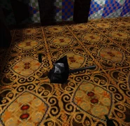 They said you'd be short...