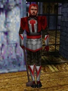 A Hammer in T1/TG guarding the Hammerite Temple front gate