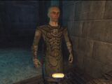 Necromancer, Shaman