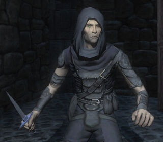 TDS garrettdagger
