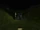 Down in the Bonehoard