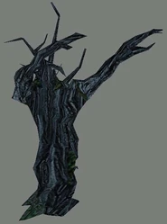 A regular tree appearing similar to a Tree Beast.
