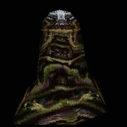 The Vine, Seen Rightside-up