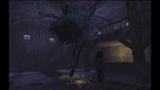 The full grown tree in the abandoned&nbsp;inn.