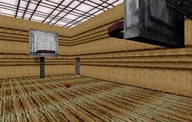 Hidden basketball court